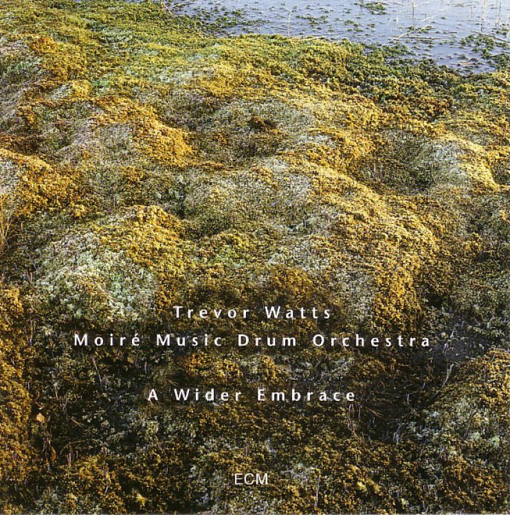 Wider Embrace