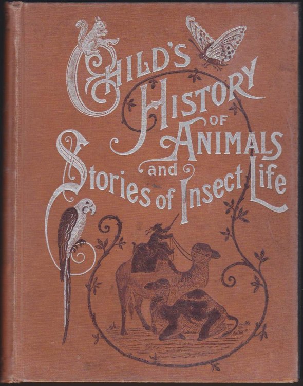 Image for CHILD'S HISTORY OF ANIMALS AND STORIES OF INSECT LIFE IN EASY LANGUAGE: A COMPLETE NATURAL HISTORY FOR YOUTH CHILD'S HISTORY OF ANIMALS AND STORIES OF INSECT LIFE IN EASY LANGUAGE: A COMPLETE NATURAL HISTORY FOR YOUTH