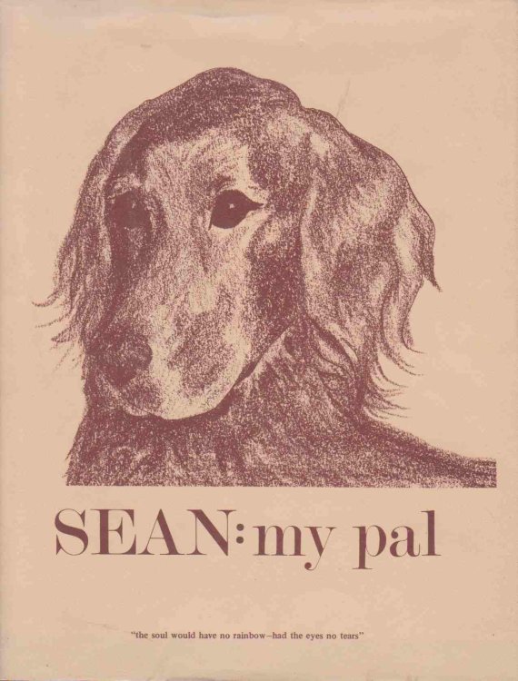 Image for SEAN My Pal SEAN My Pal