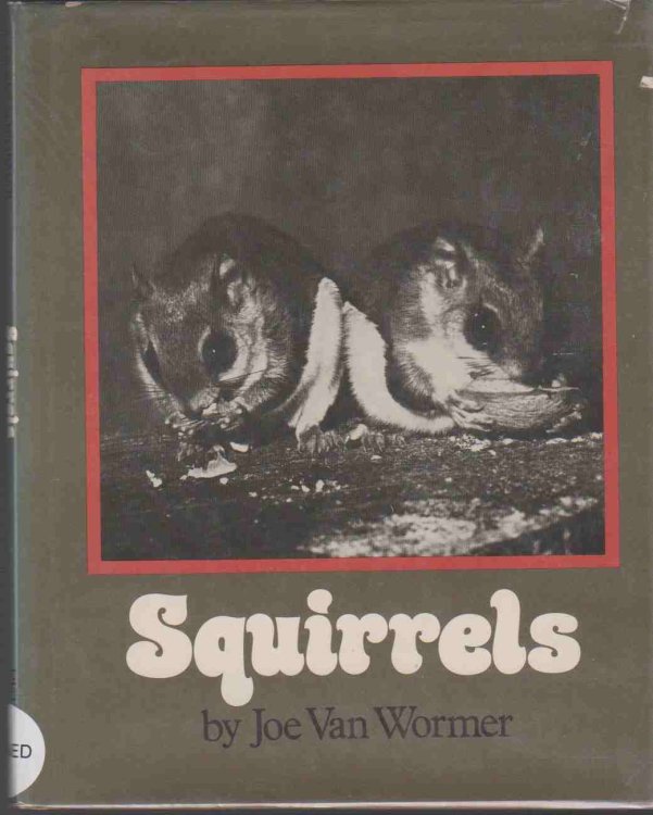 Image for SQUIRRELS SQUIRRELS