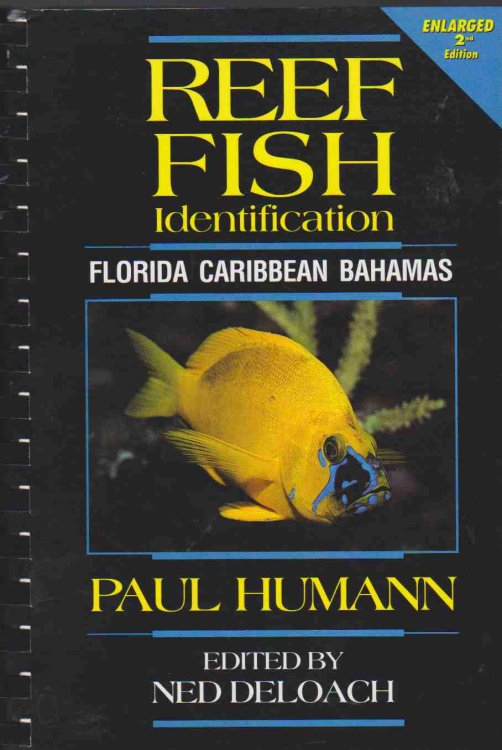 Image for REEF FISH IDENTIFICATION Florida, Caribbean, Bahamas REEF FISH IDENTIFICATION Florida, Caribbean, Bahamas