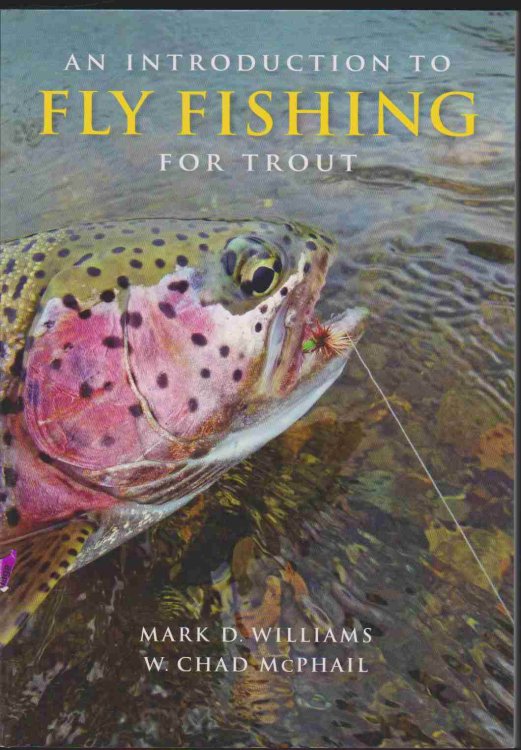Image for AN INTRODUCTION TO FLY FISHING FOR TROUT AN INTRODUCTION TO FLY FISHING FOR TROUT
