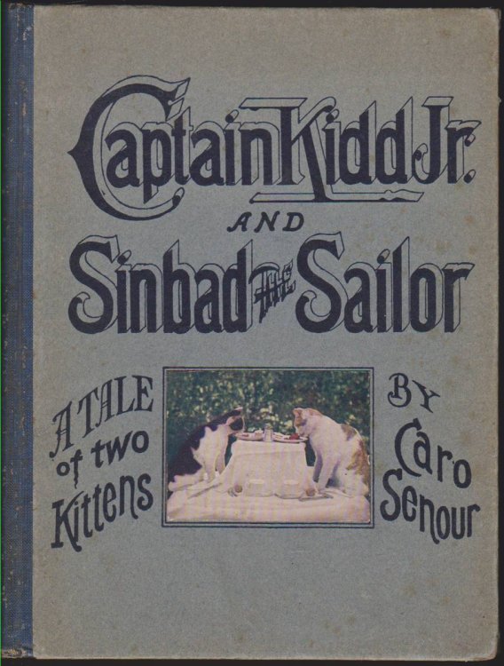 Image for CAPTAIN KIDD JR. AND SINBAD THE SAILOR A Tale of Two Kittens CAPTAIN KIDD JR. AND SINBAD THE SAILOR A Tale of Two Kittens