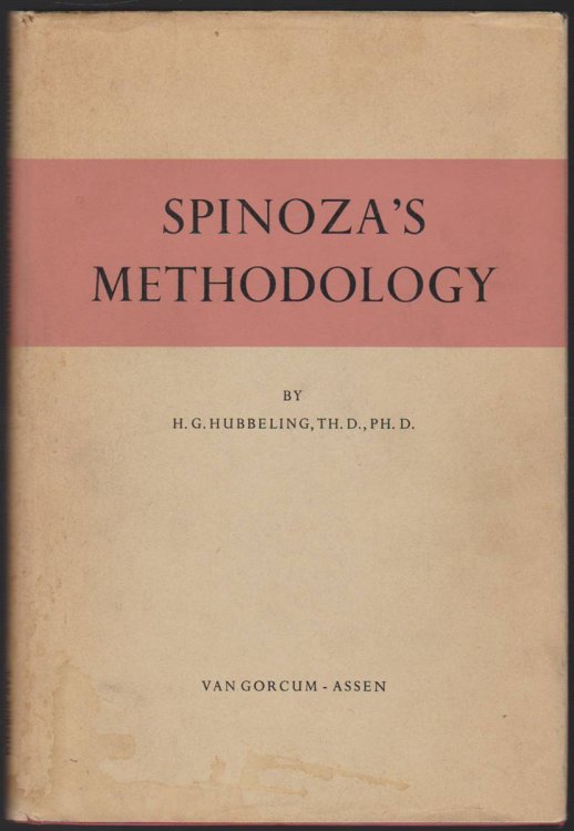 Image for SPINOZA'S METHODOLOGY SPINOZA'S METHODOLOGY
