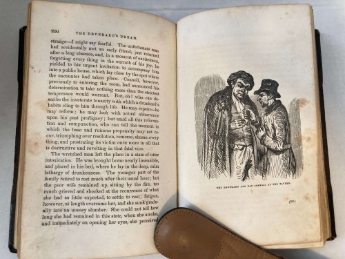 Image for THE FOUNTAIN AND THE BOTTLE; COMPRISING THRILLING EXAMPLES OF THE OPPOSITE EFFECTS OF TEMPERANCE AND INTEMPERANCE THE FOUNTAIN AND THE BOTTLE; COMPRISING THRILLING EXAMPLES OF THE OPPOSITE EFFECTS OF TEMPERANCE AND INTEMPERANCE
