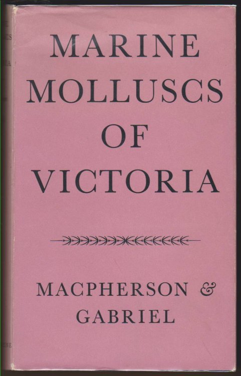 Image for MARINE MOLLUSCS OF VICTORIA MARINE MOLLUSCS OF VICTORIA
