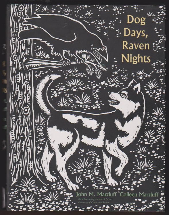 Image for DOG DAYS, RAVEN NIGHTS DOG DAYS, RAVEN NIGHTS