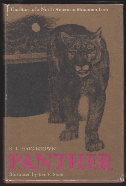Image for PANTHER PANTHER