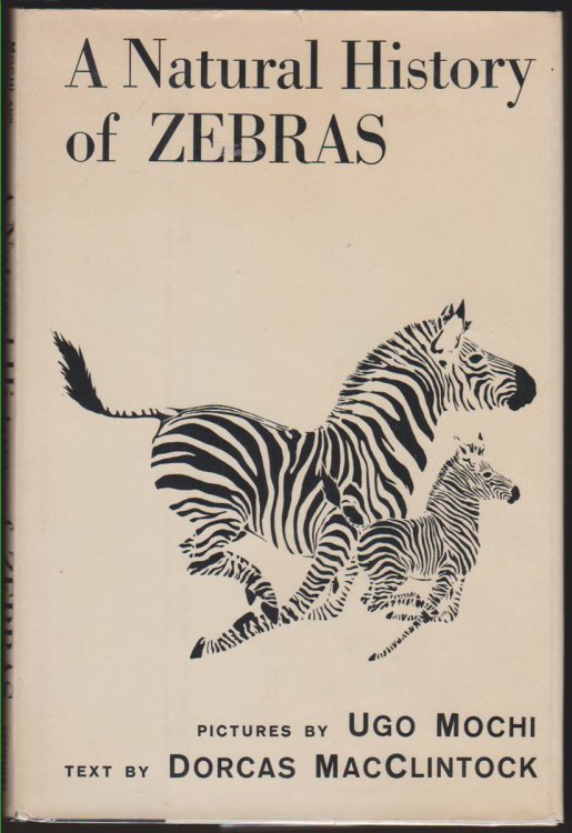 Image for A NATURAL HISTORY OF ZEBRAS A NATURAL HISTORY OF ZEBRAS