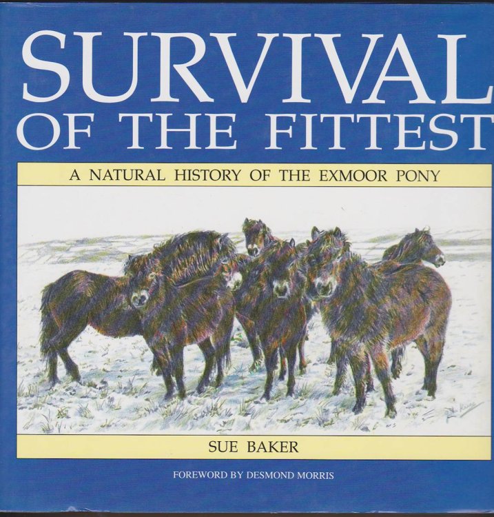 Image for SURVIVAL OF FITTEST National History of the Exmoor Pony SURVIVAL OF FITTEST National History of the Exmoor Pony