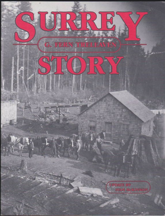 Image for THE SURREY STORY THE SURREY STORY