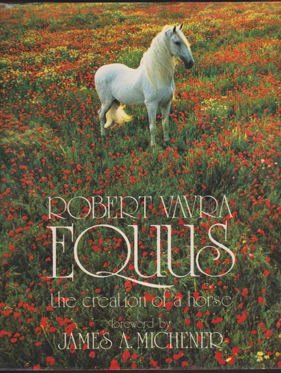 Image for EQUUS The Creation of a Horse EQUUS The Creation of a Horse