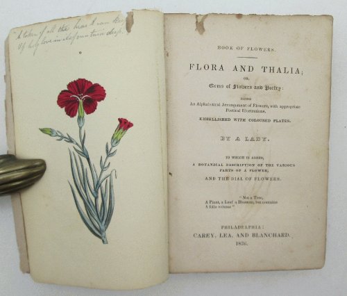 Image for Flora and Thalia or Gems of Flowers and Poetry by a Lady Embellished with Coloured Plates Flora and Thalia or Gems of Flowers and Poetry by a Lady Embellished with Coloured Plates