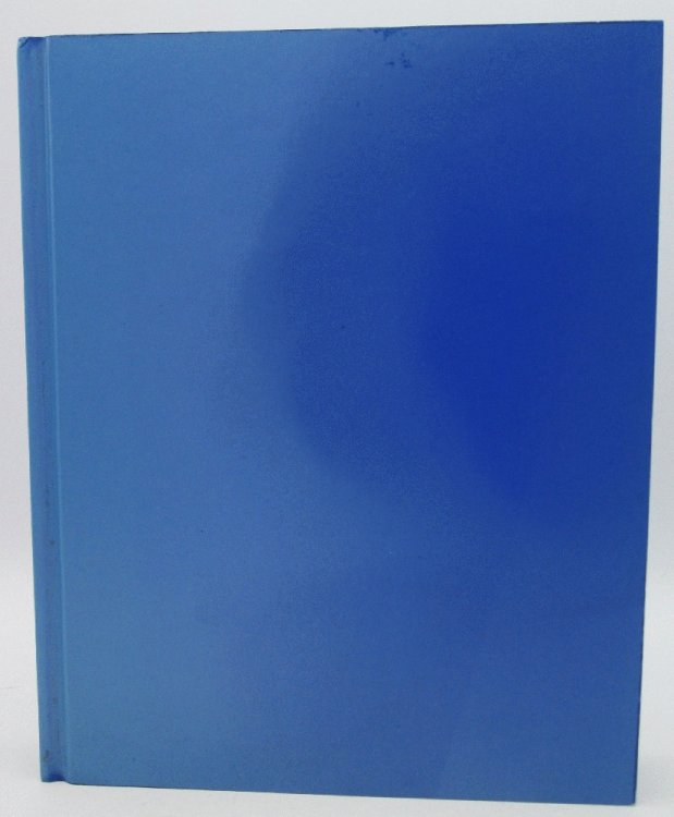 Image for Yves Klein: With the Void, Full Powers Yves Klein: With the Void, Full Powers