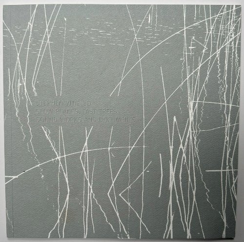 Image for Stephen Vitiello: Slow Planes, Fast Trees, Sound Works and Documents Stephen Vitiello: Slow Planes, Fast Trees, Sound Works and Documents