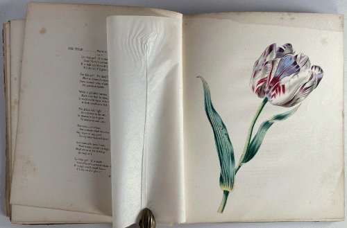 Image for The Floral Offering, A Token of Friendship: Frances S. Osgood, James Ackerman The Floral Offering, A Token of Friendship: Frances S. Osgood, James Ackerman
