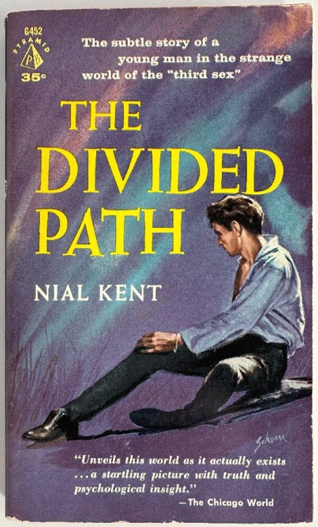 Image for The Divided Path by Nial Kent The Divided Path by Nial Kent