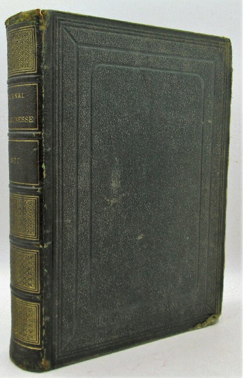 Image for Le Journal de la Jeunesse 1877 Le Journal de la Jeunesse 1877