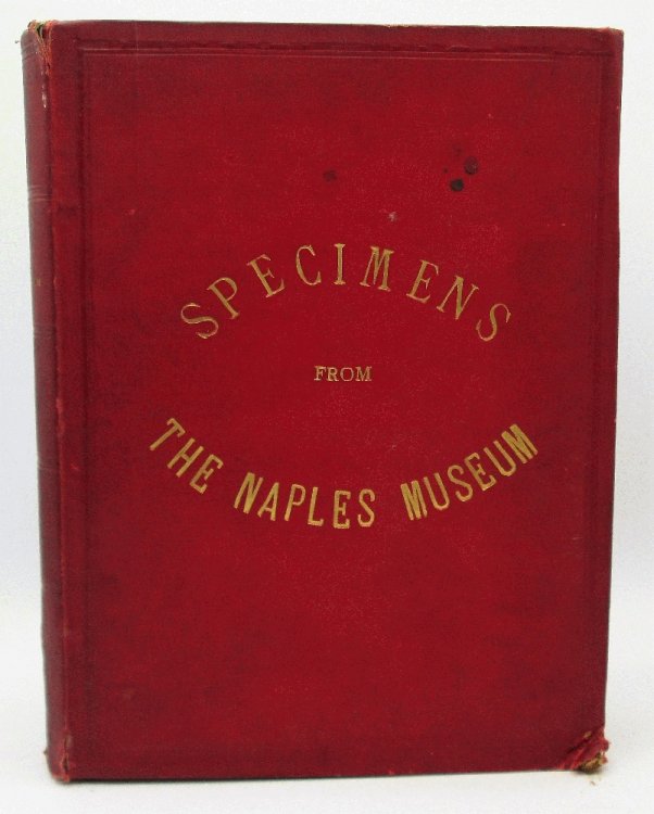 Image for Specimens From The Naples Museum 168 Plates Engraved on Copper by the Best Italian Artists Specimens From The Naples Museum 168 Plates Engraved on Copper by the Best Italian Artists