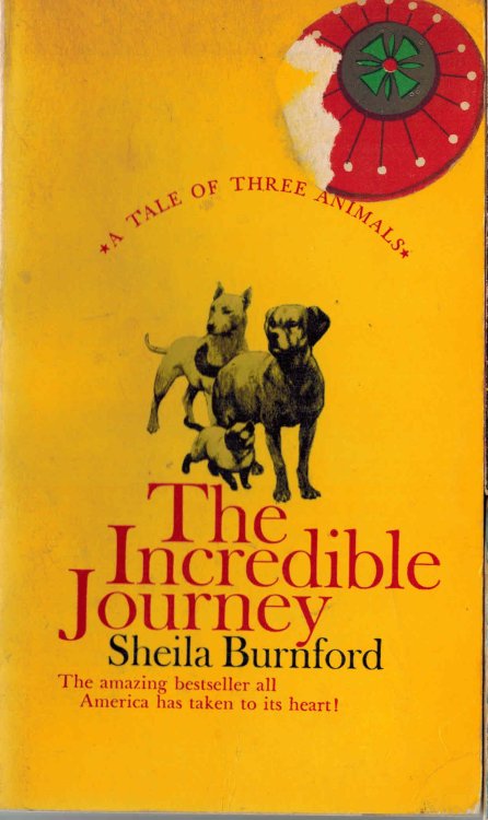 Image for The Incredible Journey The Incredible Journey