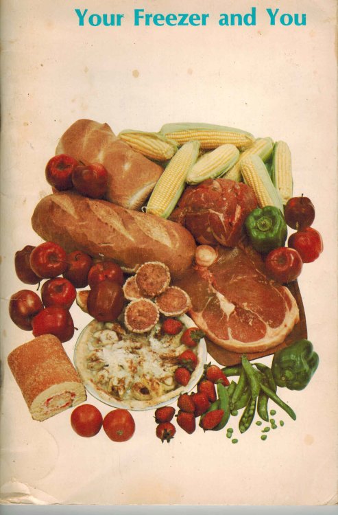 Image for You and Your Freezer : Vous et Votre Congelateur You and Your Freezer : Vous et Votre Congelateur