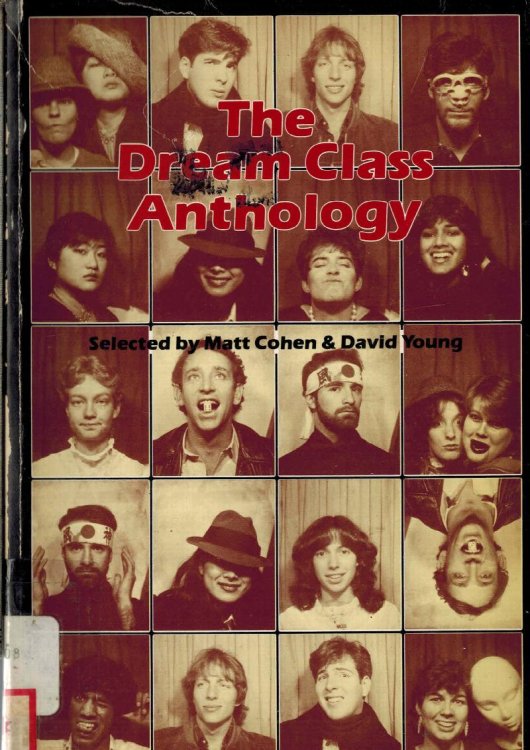 Image for The Dream Class Anthology: Writings from Toronto high Schools The Dream Class Anthology: Writings from Toronto high Schools
