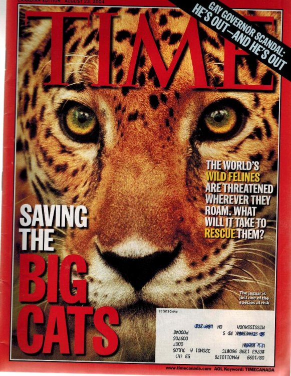 Image for Time Magazine 23 August 2004 Saving the Big Cats - Canadian Edition Time Magazine 23 August 2004 Saving the Big Cats - Canadian Edition