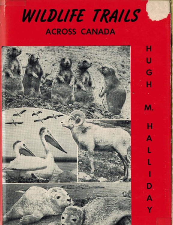 Wildlife Trails Across Canada