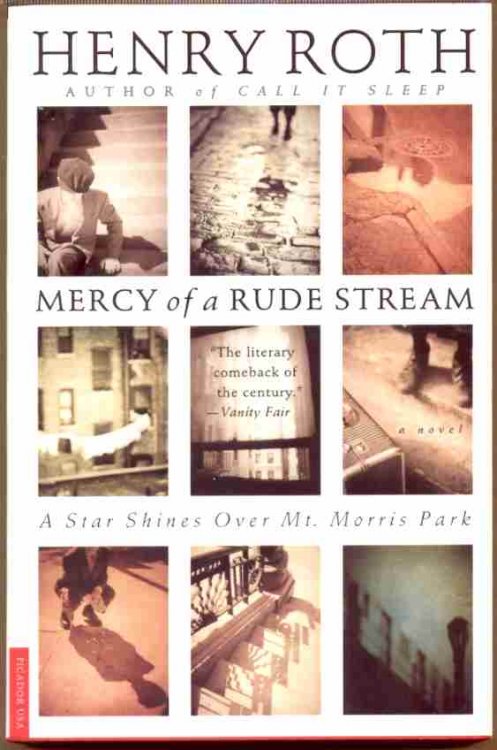 MERCY OF A RUDE STREAM A Star Shines over Mt. Morris Park