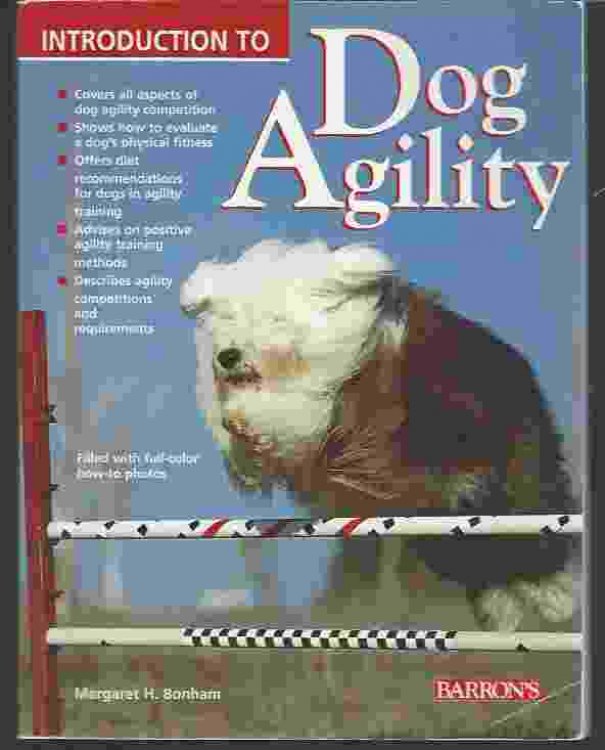 INTRODUCTION TO DOG AGILITY