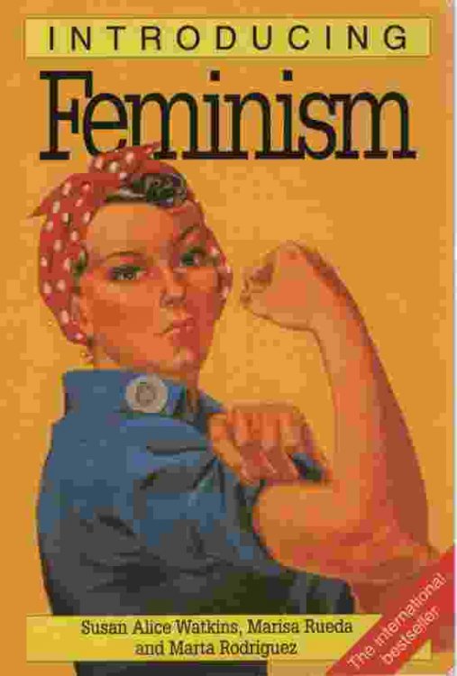 INTRODUCING FEMINISM
