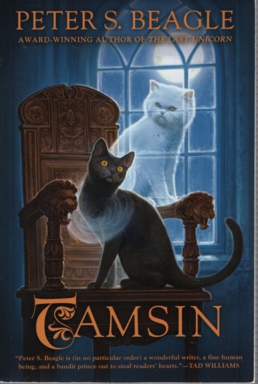 TAMSIN
