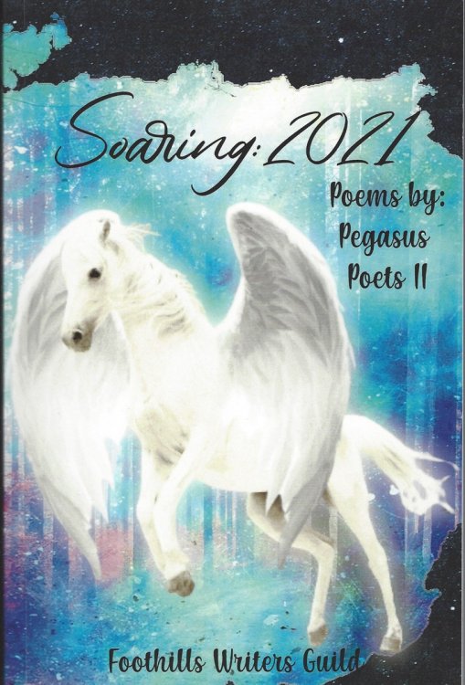 SOARING: 2021 POEMS