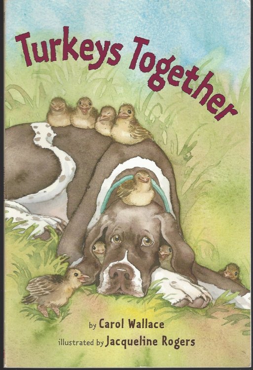 TURKEYS TOGETHER