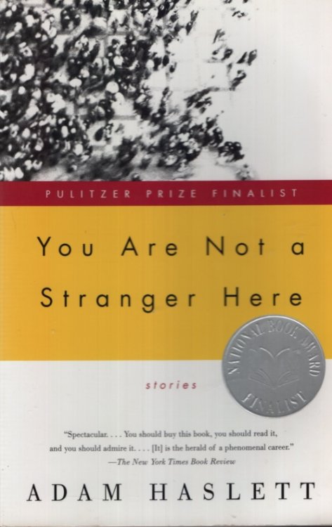 YOU ARE NOT A STRANGER HERE, STORIES