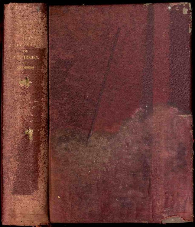 Image for THE EARLY GERMANS OF NEW JERSEY. THEIR HISTORY, CHURCHES AND GENEALOGIES. THE EARLY GERMANS OF NEW JERSEY. THEIR HISTORY, CHURCHES AND GENEALOGIES.