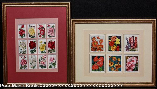 Image for WILL'S CIGARETTE CARDS FLOWERS 2 FRAMES WILL'S CIGARETTE CARDS FLOWERS 2 FRAMES