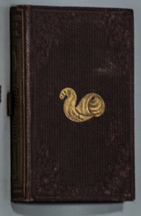Image for THE CONCHOLOGIST'S TEXT-BOOK. EMBRACING THE ARRANGEMENTS OF LAMARCK AND LINNAEUS, WITH A GLOSSARY OF TECHNICAL TERMS. TO WHICH IS ADDED IS ADDED A BRIEF ACCOUNT OF THE MOLLUSCA THE CONCHOLOGIST'S TEXT-BOOK. EMBRACING THE ARRANGEMENTS OF LAMARCK AND LINNAEUS, WITH A GLOSSARY OF TECHNICAL TERMS. TO WHICH IS ADDED IS ADDED A BRIEF ACCOUNT OF THE MOLLUSCA