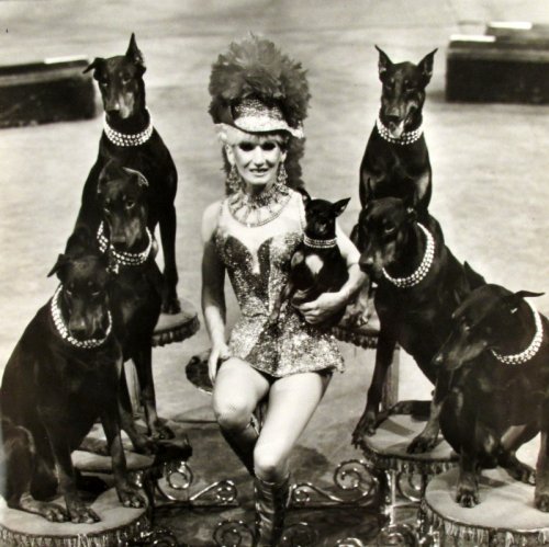 Image for Large Lot Of Circus Ephemera - Photos, Ephemera & Books Large Lot Of Circus Ephemera - Photos, Ephemera & Books