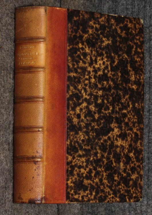 Image for Rudimenta Linguae Arabicae. Florilegium Sententiarum Arabicarum Ut Et Clavim Dialectorum Rudimenta Linguae Arabicae. Florilegium Sententiarum Arabicarum Ut Et Clavim Dialectorum