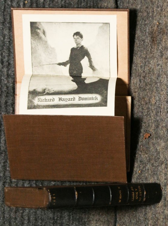 Image for Diary Of A Man Of Fifty And A Bundle Of Letters. 1880 Diary Of A Man Of Fifty And A Bundle Of Letters. 1880