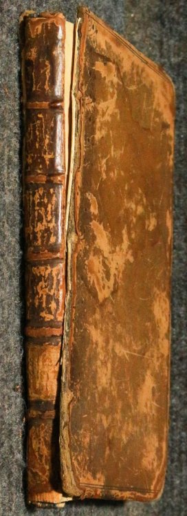 Image for City-liberties: Or, The Rights And Privileges Of Freemen Being A Concise Abridgement. City-liberties: Or, The Rights And Privileges Of Freemen Being A Concise Abridgement.