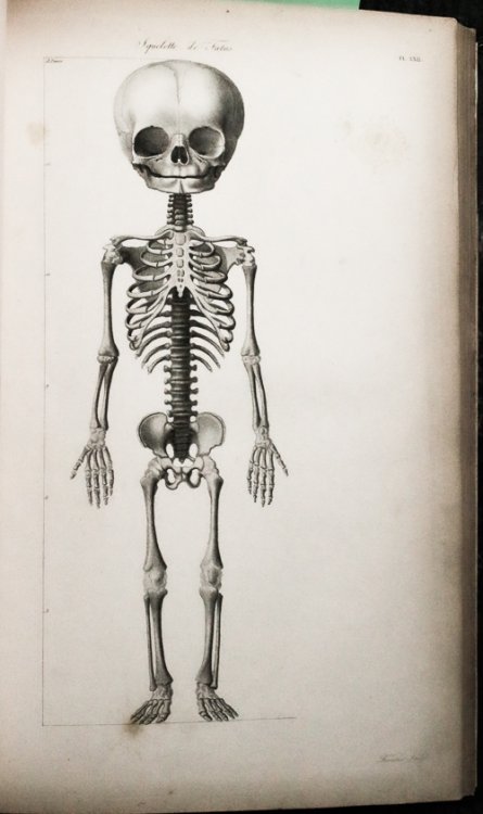 Image for Nouvelles Demonstrations D'accoucemens. Obstetrics, 1820, #40080 78 Anatomical Plates Nouvelles Demonstrations D'accoucemens. Obstetrics, 1820, #40080 78 Anatomical Plates