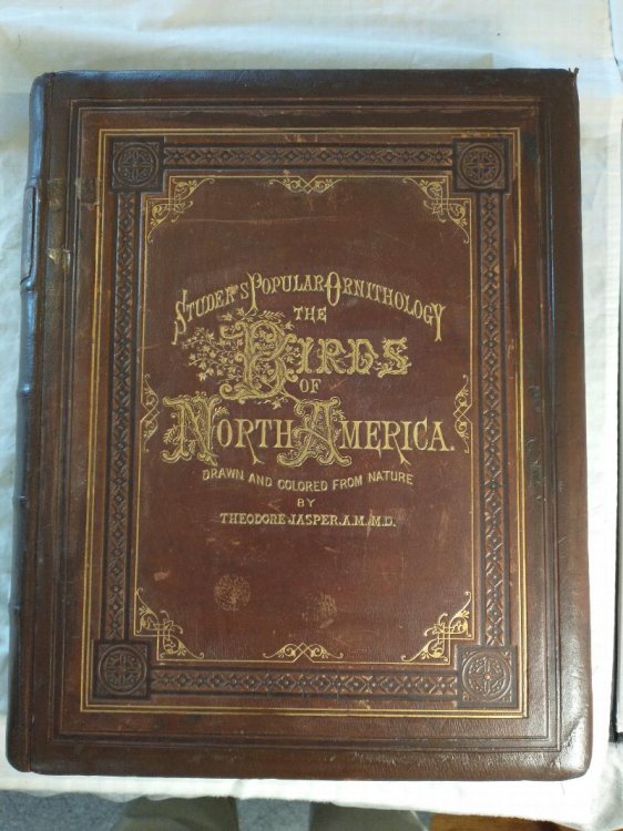 STUDERS POPULAR ORNITHOLOGY THE BIRDS OF NORTH AMERICA