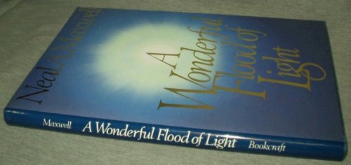 Image for A WONDERFUL FLOOD OF LIGHT A WONDERFUL FLOOD OF LIGHT
