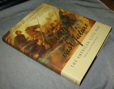 Image for Struggle for a Vast Future - The American Civil War Struggle for a Vast Future - The American Civil War