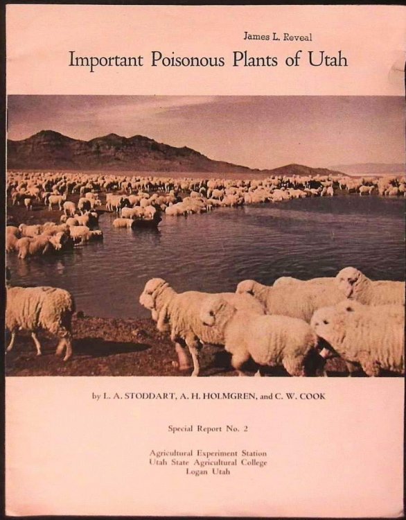 Image for Important Poisonous Plants of Utah - Special Report No. 2, Agricultural Experiment Station, Utah State Agricultural College Important Poisonous Plants of Utah - Special Report No. 2, Agricultural Experiment Station, Utah State Agricultural College