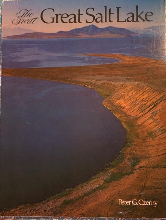 Image for The Great Great Salt Lake The Great Great Salt Lake