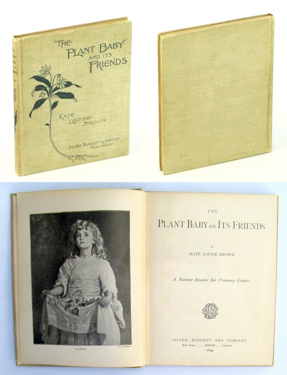 The Plant Baby And Its Friends - A Nature Reader For Primary Grades