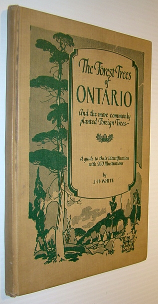 The Forest Trees of Ontario - and the More Commonly Planted Foreign Trees: A Guide to Their Identification with 260 Illustrations